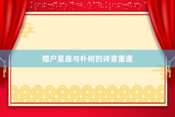 猎户星座与朴树的诗意重逢